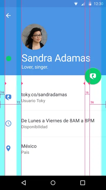 Perfil de Toky con Keylines (Líneas clave)