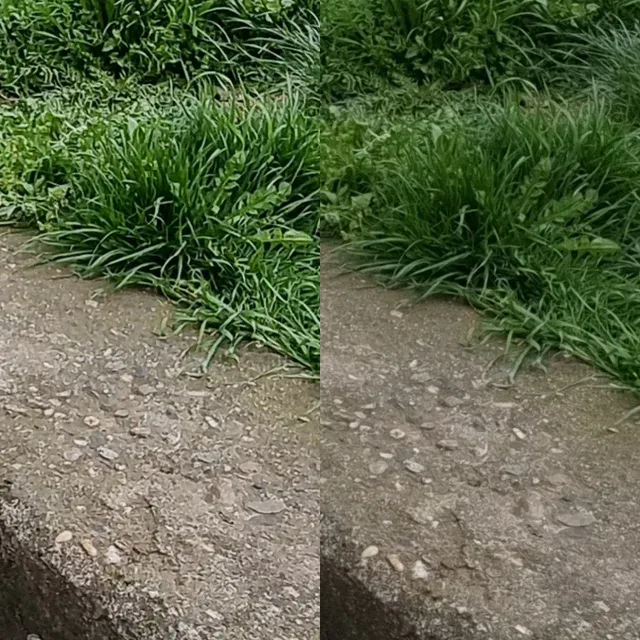 Oversharpening en el Pixel 6 vs resultados maduros